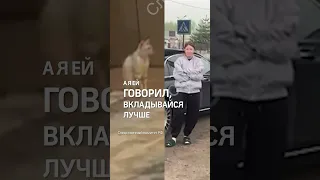 Реакция кота Блиновской на обыск в доме его хозяйки