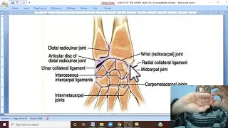 Musculo-skeletal Module I in Arabic 65 ( Wrist joint  ) , by Dr. Wahdan 2022