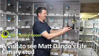 The Canary Room Season 5 Ep17 - a visit to Matt Dando