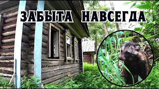 Заброшенная деревня - Юркино.Тверская область.Их давно тут нет