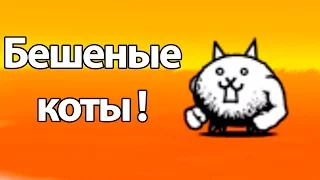 Бешеные коты ! ( Battle Cats )