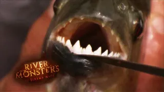 Eaten ALIVE By Catfish | HORROR STORY | River Monsters