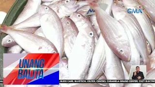 Presyo ng mga isda sa Malabon Fish Port, bumaba | UB