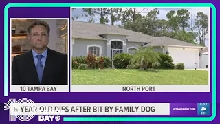 Boy, 6, dies from dog bite in North Port