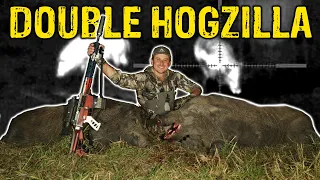 HOGZILLA  HOGS and TWO BUCKS!