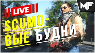 Стримец на пару часов. SCUM 2024