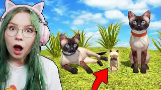 MAM DZIECKO-KOCIĄTKO!😻- Cat Simulator #03