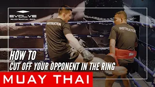 Muay Thai | How To Cut Off Your Opponent In The Ring