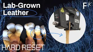 Inside the lab growing leather from mushrooms | Hard Reset by Freethink