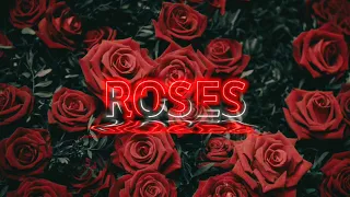 Swapnil Tiwari - Roses (Official Visualizer)