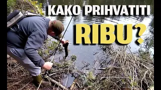 Kako bezbedno prihvatiti ribu?