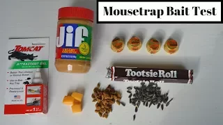 Mousetrap Bait Test With Motion Cameras & Wild Mice/Rats. What Is the Best Mousetrap Bait?