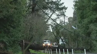 Strong winds lead to widespread damage in Bay Area