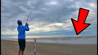 Beach Fishing and THIS Happened !