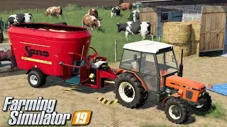 Karmienie krów - Farming Simulator 19 | #32