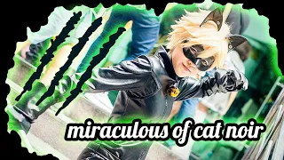 Miraculous Cat noir || CMV