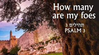 Psalm 3 in Hebrew with English translation