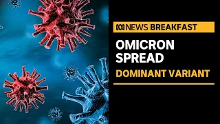 Experts say Omicron COVID strain is likely to dominate Delta | ABC News