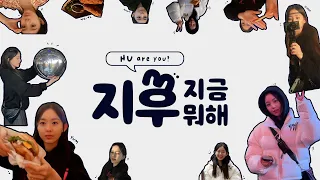 (SUB)[지후로그] 지후 pick❣안가면 섭섭한 뉴욕 스팟들(feat. 버거조인트, MoMA, SUMMIT, 야경)