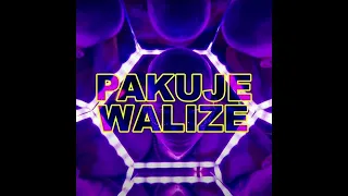 Dawid Artysta - Pakuje Walize 2022 (Pump&Code Remix)