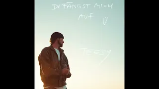 Teesy - Du fängst mich auf (Official Audio)