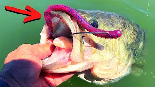 BIG Plastic WORMS Catch Big Summer BASS (The Ole Monster)