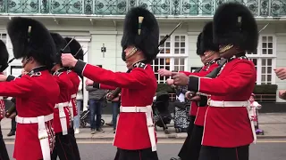 Changing the guard Windsor (5.10.19)