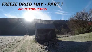 Freeze Dried Hay Part 1 - An Introduction