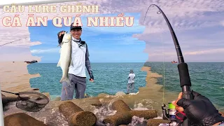 Đi Câu Lure Ghềnh ở bờ kè chắn sóng, Chưa bao giờ câu được nhiều cá như vậy, Dungleo fishing Tv