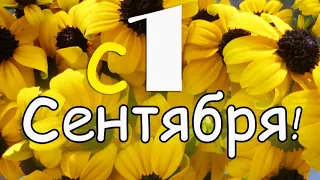 Поздравление с 1 сентября. Поздравляю с днем знаний!