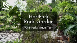 Rock Garden at HortPark | An NParks Virtual Tour