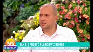 Suspected rash is bed bug bite. Interview with Eryk Połeć from PRYSKANIE.pl in Polish Television TVP