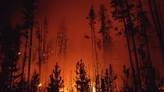 The Story Behind the Yellowstone Fires of 1988 | Retro Report | The New York Times