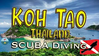 Scuba Diving in Koh Tao Thailand