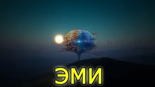 Мудрость нашей интуиции