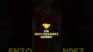 Der größte TRANSFER der Geschichte?! 😱📈🇦🇷