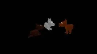 Space Dogs Screen Test (with audio)