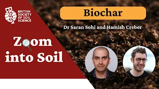 Zoom into Soil: Biochar