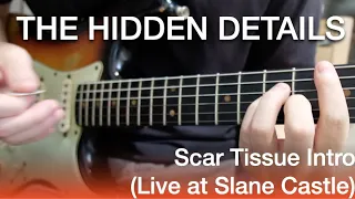 Hidden Details of John Frusciante - Scar Tissue (Intro) Live at Slane Castle