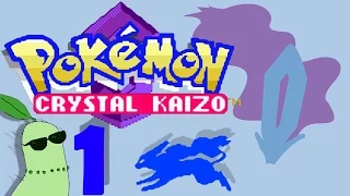 Pokemon Crystal Kaizo Nuzlocke Part 1 - XENON GLUTTON FOR PUNISHMENT!