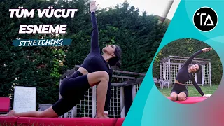 Tüm Vücut İçin Esneme Hareketleri | Stretching