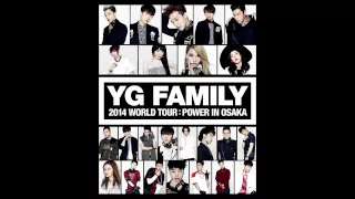 BIGBANG - FANTASTIC BABY ( YG FAMILY WORLD TOUR 2014 -POWER- in Japan)