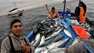 Mira la increíble pesca del PEZ BONITO en altamar