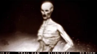 Most Disturbing Creatures Caught on Trail Cam 2024