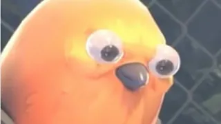 POOTIS BIRD GAMEPLAY