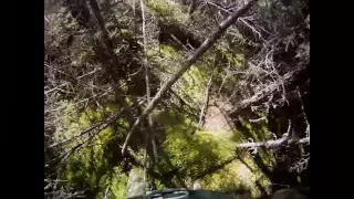 Tree Landing