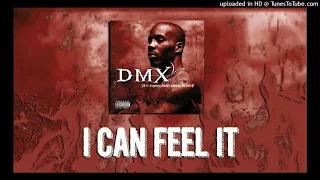 DMX - I Can Feel It (31,39,43,35 Hz) Rebassed By Cukier