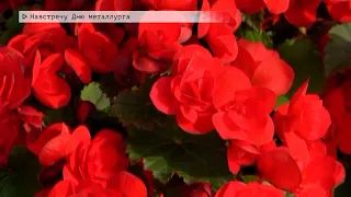 Время местное. Эфир: 11-07-2023- Навстречу Дню металлурга