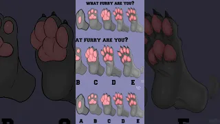 WHICH FURRY PAWS DO YOU HAVE?
