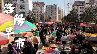 Luoyang Morning Rhythm: Slow life at the morning market in the thousand-year-old ancient capital